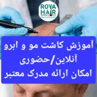 آموزش کاشت مو ابرو صفرتاصد آنلاین شهرستان یاحضوری