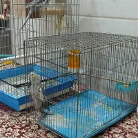 پدر، مادر، فرزند