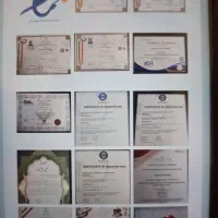 دریافت جایزه طلا از سایت مطلا