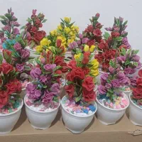 یه تعداد گل گلدان دارم بخاطر  جابه‌جایی فروش