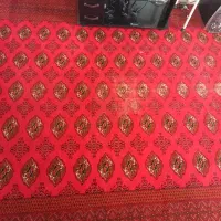 فرش ترکمن|فرش|تهران, زنجان جنوبی|دیوار