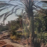 فروش زمین|فروش زمین و ملک کلنگی|بند زرک, |دیوار