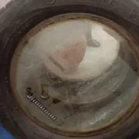 اکواریوم تعویض با دوتا گوپی، فایتر ، سنگ اکواریوم|ماهی|یزد, |دیوار