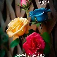 استخدام نگهبان