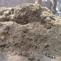 خاک گوسفند و اسب یک دست|گل و گیاه طبیعی|بم, |دیوار