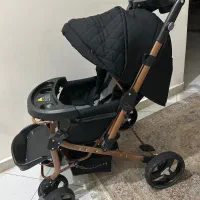 کالسکه دلیجان مدل بنیتا بدنه مسی