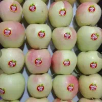 نهالستان|خدمات باغبانی و درختکاری|قروه, |دیوار