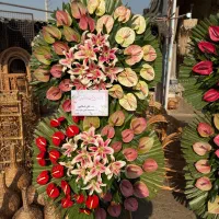 عمده فروشی تاج گل ترحیم ونمایشگاه بینالمللی|گل و گیاه طبیعی|تهران, سعادتآباد|دیوار