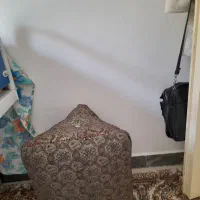 تک پشتی سنتی