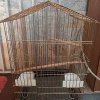 قفس پرنده بزرگ قفس عروس هلندی طلایی بزرگ|لوازم جانبی حیوانات|رباطکریم, شترخوار|دیوار