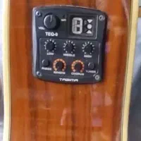 گیتار حرفه ای تاگیما|گیتار، بیس، امپلیفایر|اهواز, طالقانی|دیوار