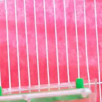 لوازم خانگی