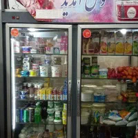 یخچال دو در ایستاده فروشگاهی