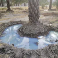 ۳۰هکتار زمین