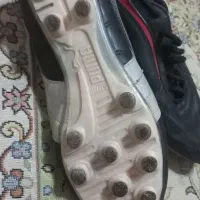 کفش فوتبالی ،چمن|کیف، کفش، کمربند|مشهد, شهید قربانی|دیوار