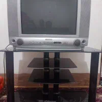 تلویزیون