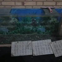 اکواریوم بزرگ همراه با وسایل قیمت پیشنهادی