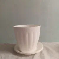 گلدان و گل در رنگ های متفاوت و زیبا|گل و گیاه طبیعی|آبیک, |دیوار