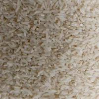 برنج  لاشه  هاشمی