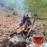 چای چوب یا چای قهوه خانه ای|خوردنی و آشامیدنی|همدان, |دیوار