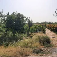 بسطام-5700-متر-باغ-با-استخر-سند-تک-برگ