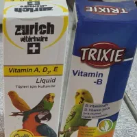 مرغ عشق|پرنده|شیراز, کوشک میدان|دیوار