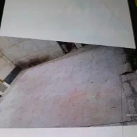 موکت پالاز