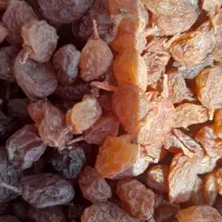 کشمش افتابی.|خوردنی و آشامیدنی|باغستان, |دیوار