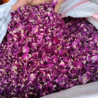 انواع گل محمدی