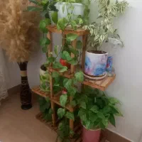 استند چوبی گل و ۲ عدد گلدان استوانه