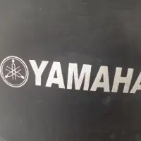 گیتارC40|گیتار، بیس، امپلیفایر|کردکوی, |دیوار