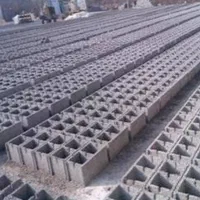 استخدام بلوکه زن