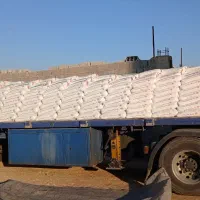سیمان سفید نی ریز