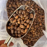 قهوه سورابن