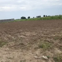 فروش ۱۳۴۰ متر زمین کشاورزی