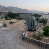 فروش باغ شهری واقع در زرقان|فروش زمین و ملک کلنگی|شیراز, زیباشهر|دیوار