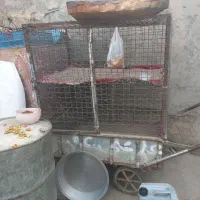 گاری