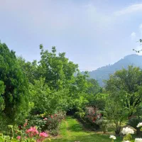 زمین کوهپایه سمت دریای گیسوم