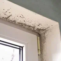 آببندی وعایق رطوبتی نانو چاله آسانسور و سنگ سرامیک|خدمات پیشه و مهارت|رشت, یخسازی|دیوار