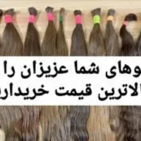فروش مو (خرید و خریدار ) رنگی و خام