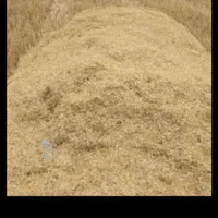 کاه گندم به صورت فله نیسان