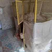 قفس مرغ و خروس