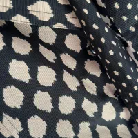 بارونی خارجی