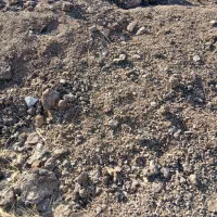 فروش کود حیوانی