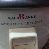 پلو پز و بخارپز