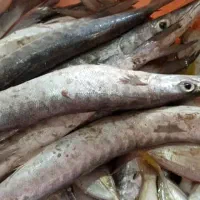 سالن‌دار رستوران