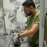 دکتر دامپزشک مجرب منطقه یک و سه تهران