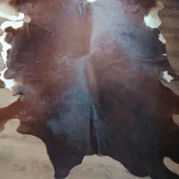 پوست گاو میش