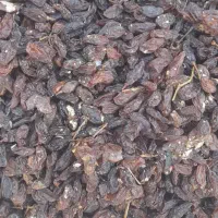 گله افتابی کشمش|خوردنی و آشامیدنی|نیشابور, فضل|دیوار