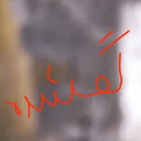 اسب پیدا شده